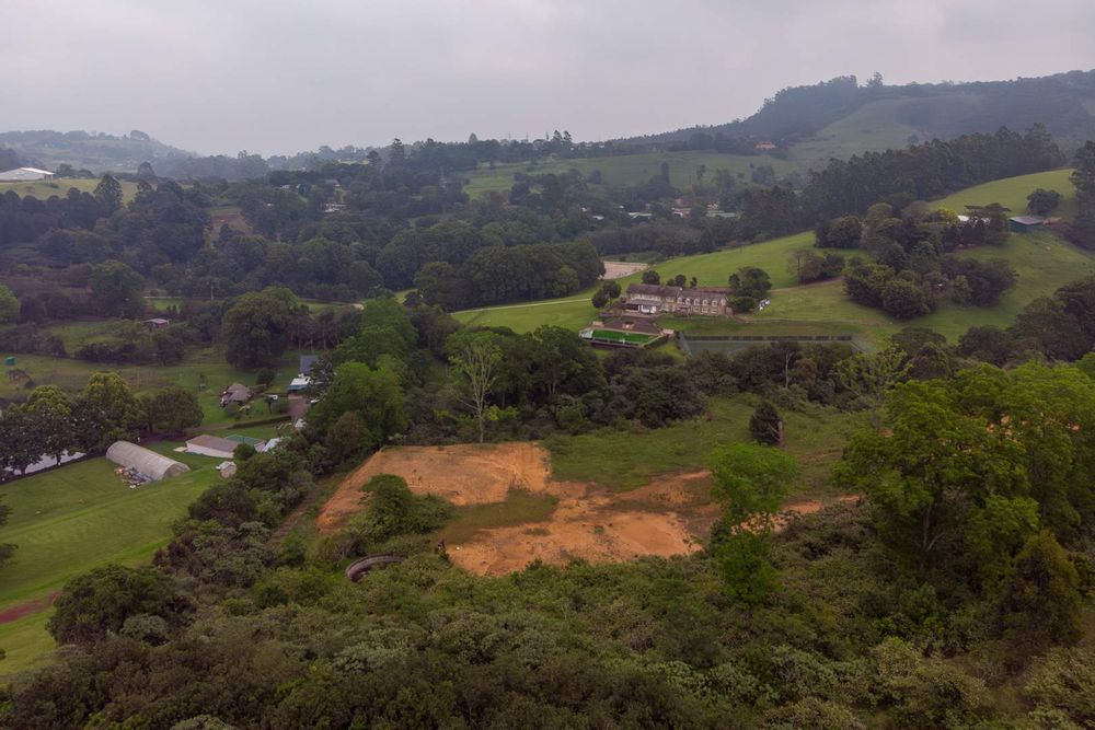 Aerial view south from over the plantation alongside Alverstone Road