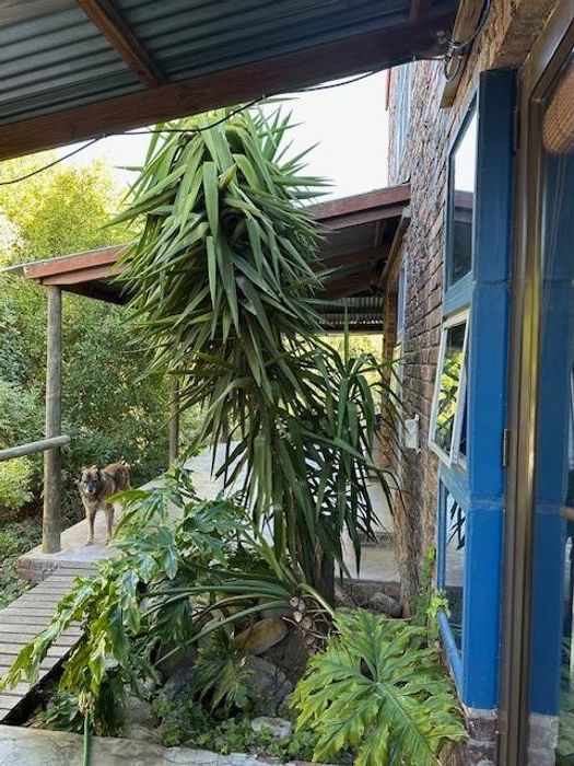 Heldervue Cottage To Rent: Garden setting, furnished, wifi, covered parking, security.