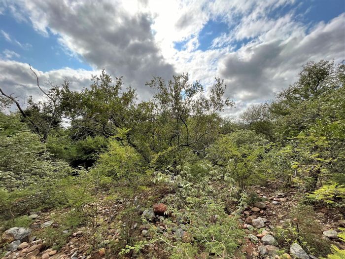 Property #2152755, Vacant Land Residential for sale in Blyde Wildlife Estate