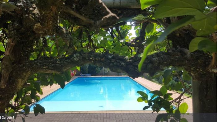 Illovo Apartment To Rent: Furnished, spacious, garden, pool, 24-hour security.