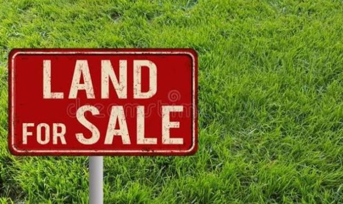 Property #2187299, Vacant Land Commercial for sale in Isipingo Rail