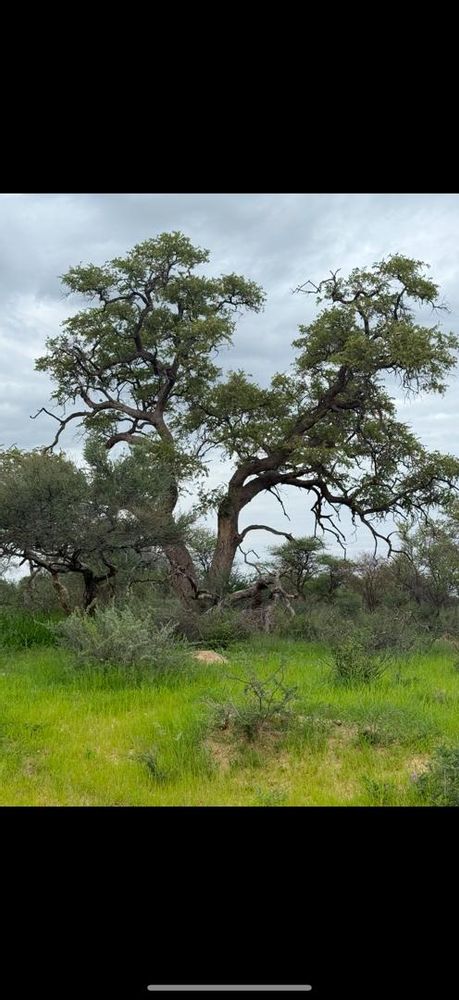 View of the field on the Farm