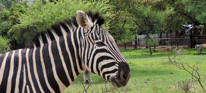 Prime Leeupoort Central Corner Stand, 423m2, Facing Northeast with Stunning Mountain Views. Book Viewing Now!