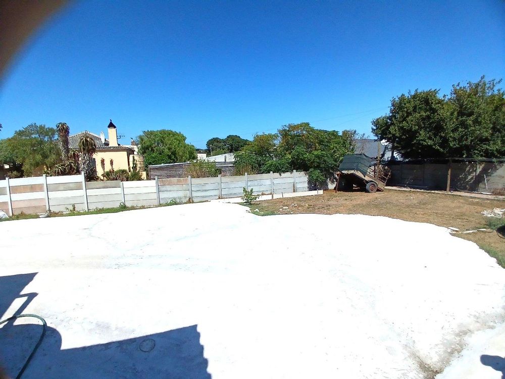 Another part of our Backyard.