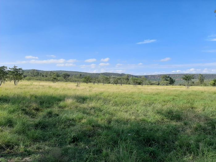 For Sale: 67.6 Hectare Agricultural Land in De Tweedespruit, Near Rivers and Game Lodge