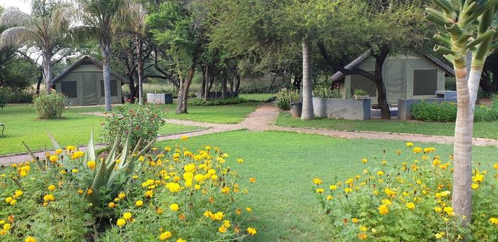 For Sale: 340ha farm in Naboomspruit with cattle, wildlife, and eco-tourism potential.