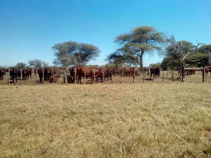 Otavi Property property and houses for sale in Otavi MyProperty Namibia