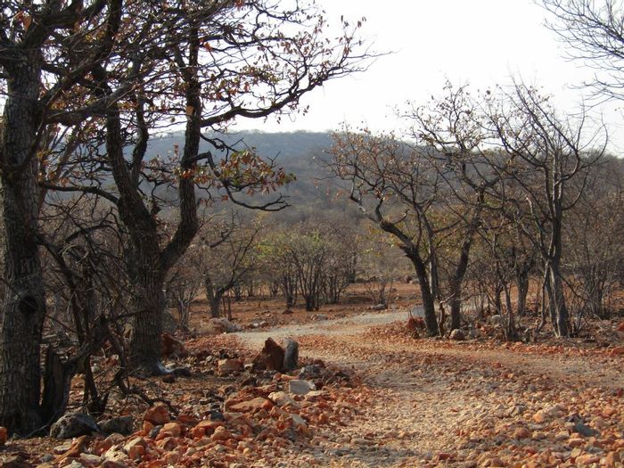 Property #2222096, Farm For Sale in Outjo Central