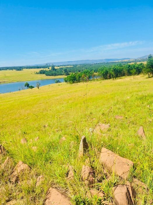 Vryheid Central Farm For Sale: Timber resources, dam, borehole, farmhouse, no land claims.