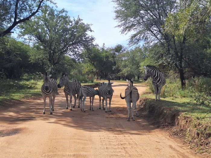 Leeupoort Central Vacant Land Residential for Sale: Tranquil oasis near Pretoria with amenities.