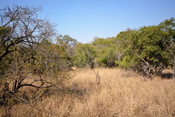 1 Hectare River Stand in Moditlo Nature Reserve | Serene Bushveld Living For Sale