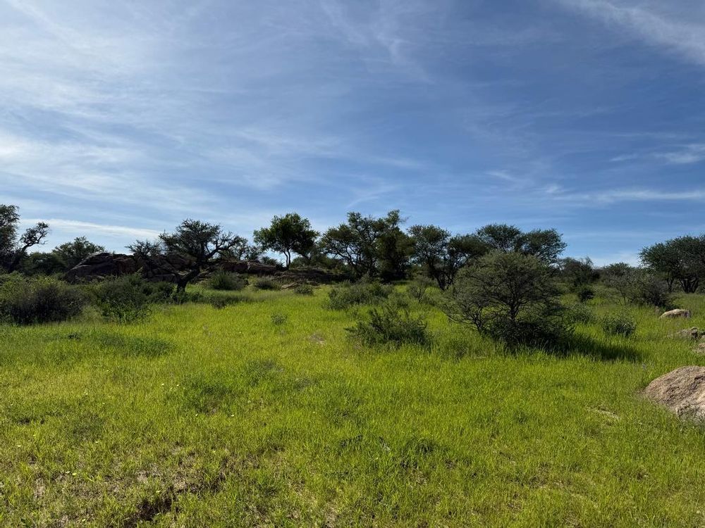 View of the field on the Farm