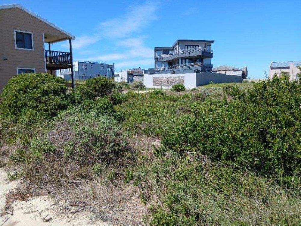 Almost the same as previous photo - now zoomed in a bit.