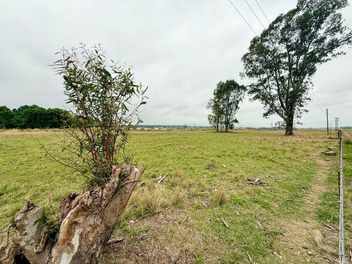 Vryheid Central Small Holding For Sale: Farmhouse, shed, boreholes, approved 55-unit plans.
