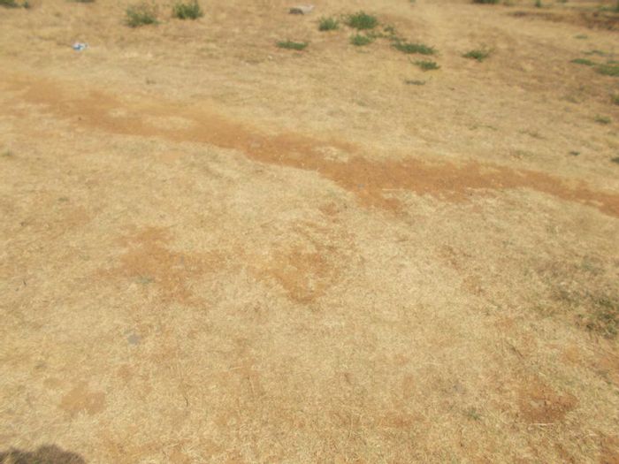 Property #2184482, Vacant Land Residential for sale in Esselenpark