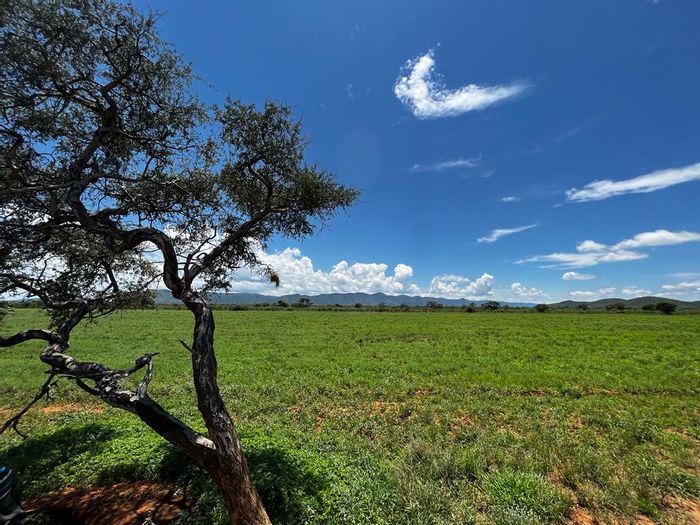 For Sale: Farm in Otavi Central with water access, electricity, and foreign ownership.