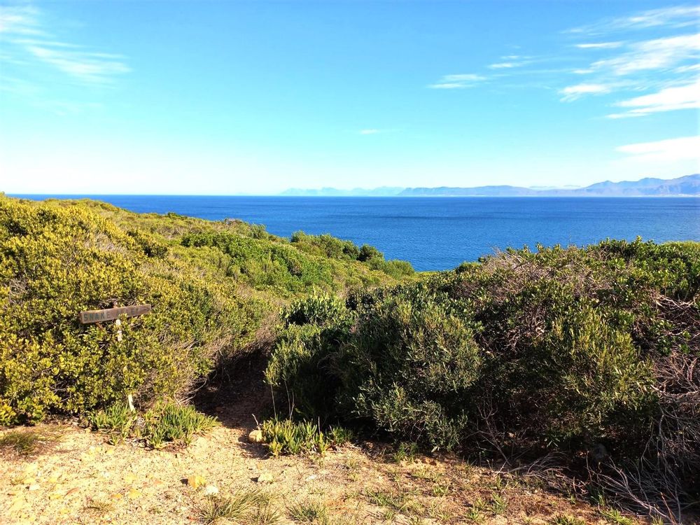 Another 40 metres;  and our permanent Sea View.