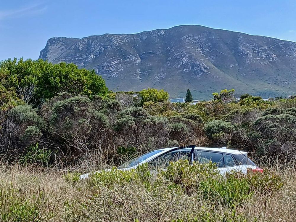 Our permanent Mountain View.