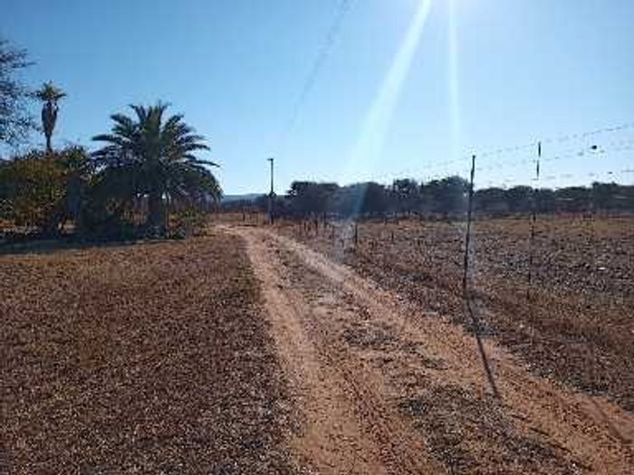 For Sale: 78-Hectare Farm in Naboomspruit with dual residences and extensive agricultural facilities.