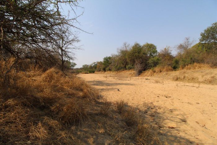 Prime Vacant Land in Moditlo Nature Reserve, Hoedspruit - For Sale