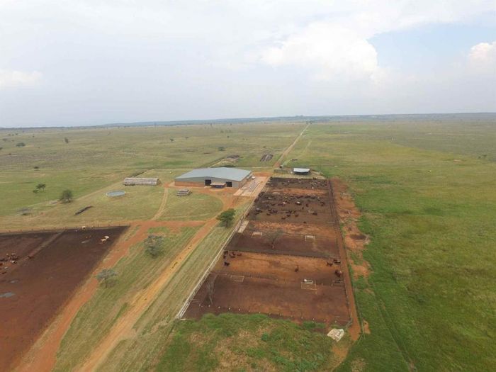 For Sale: 1,419ha farm in Mookgopong Central with irrigation, wildlife, and accommodations.