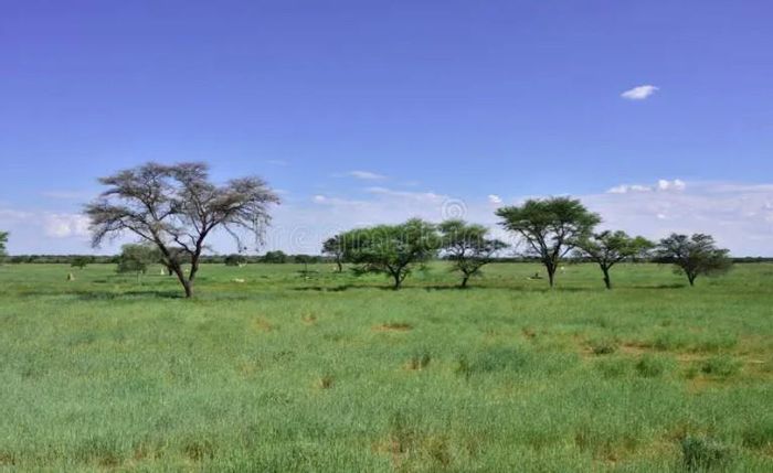 Property #2479006, Farm For Sale in Rehoboth Central