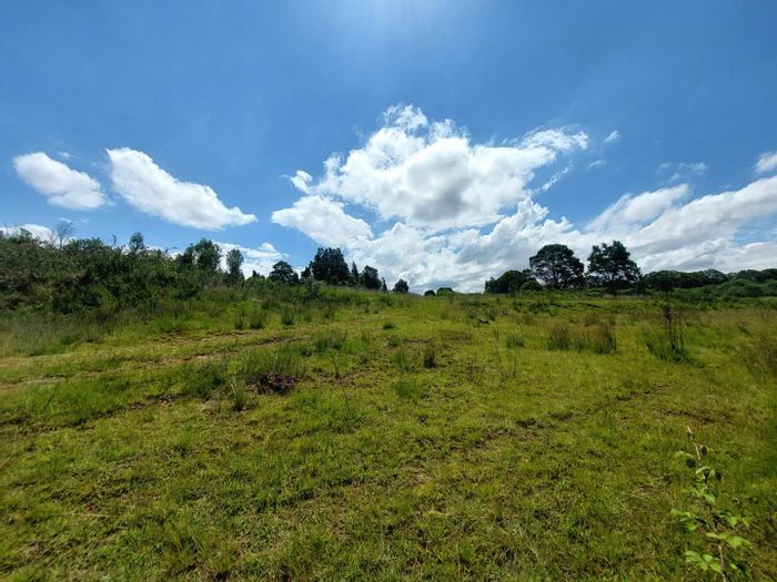 Vacant Agricultural Land for Sale in Graskop Central, near Fairyland Trails.