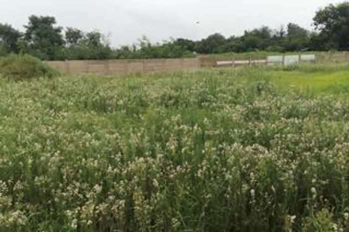 Property #1967039, Vacant Land Residential for sale in Meyerton South