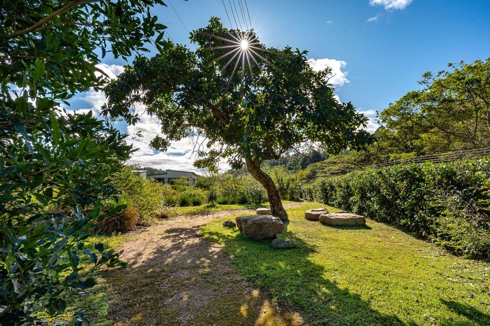 Picnic Spot