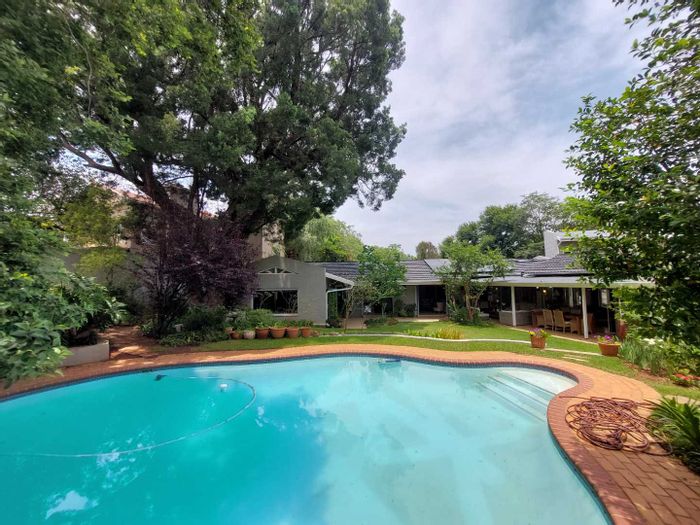 House To Rent in Parktown North: Pool, studio flatlet, pet-friendly, solar backup.