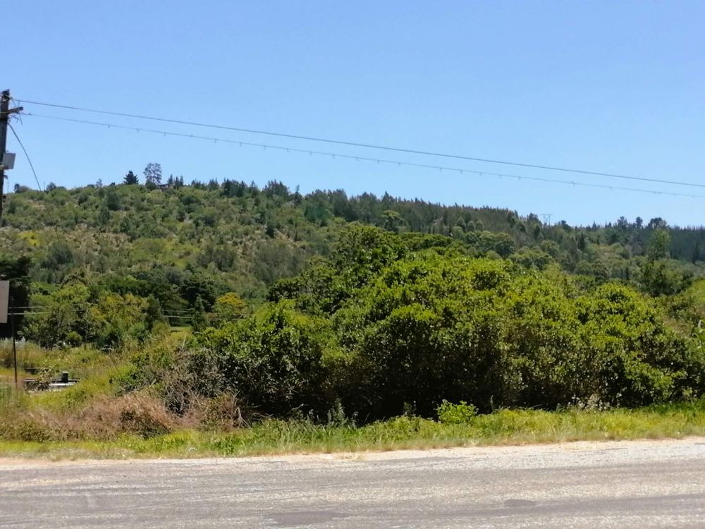 Looking from the river up to the farm