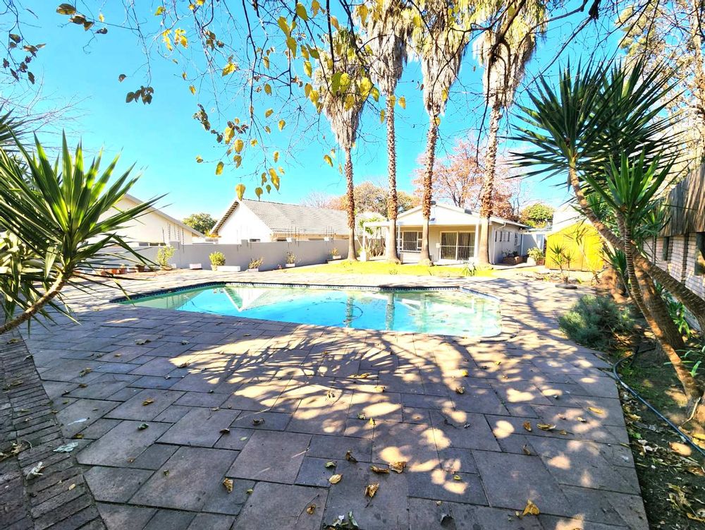 paved pool area, back yard with giant tropical palms