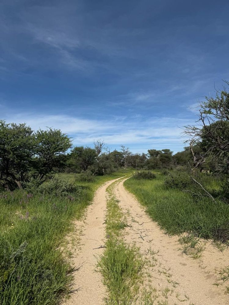 View of the field on the Farm