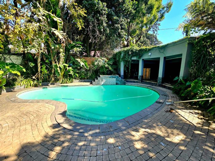 Auction Alert: Spacious 5-Bedroom House in Rietondale with Pool, Flatlet, and More!