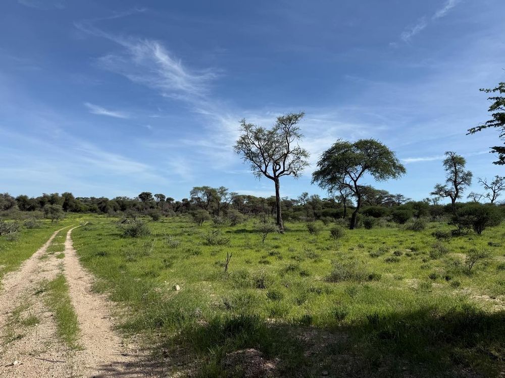 View of the field on the Farm