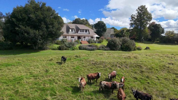 For Sale: Howick Rural Guest House with 14 bedrooms, cottages, and expansive grounds.