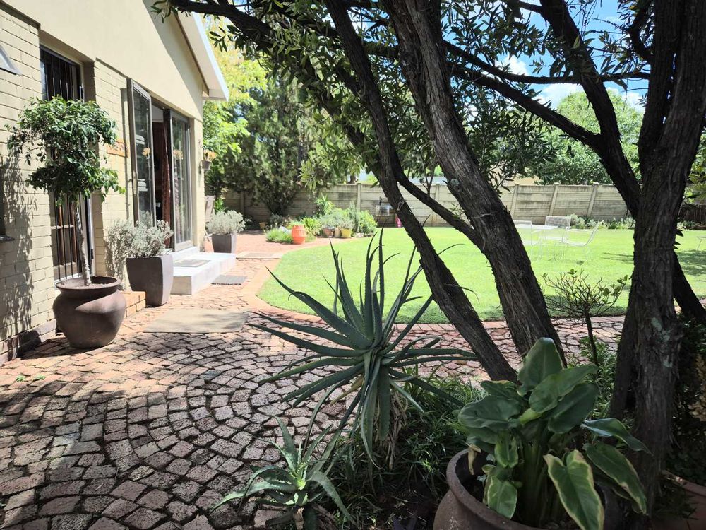 View from the back garden