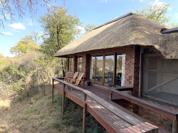 Game farms, bush houses, property for sale Hoedspruit Century21 Wildlife