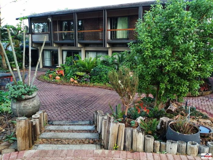 Spacious Waverley House For Sale: 4 Flats, Pool, Borehole, Oak Tree, and More!