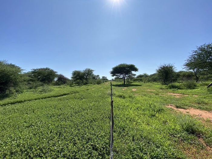 Hochfeld Central Farm For Sale: Prime plots with water access, game, and no restrictions.