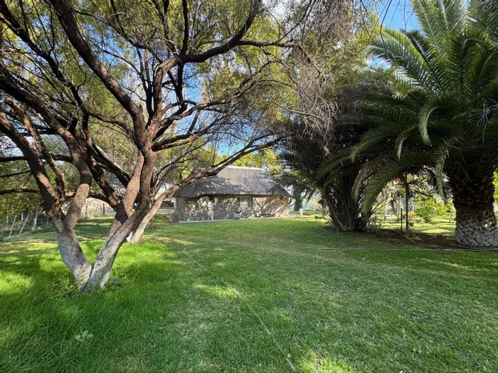 For Sale: 3,100ha Farm in Otavi Central with strong water supply and cattle facilities.