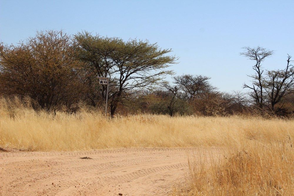 Gravel round on the property