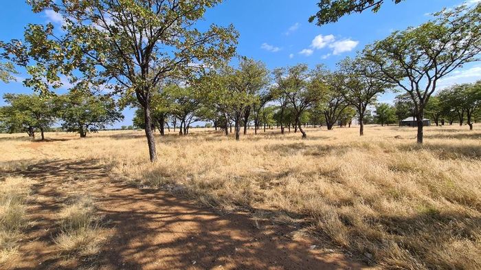 For Sale: Tsumeb Central Farm with Runway, Boreholes, Game Included, and More!