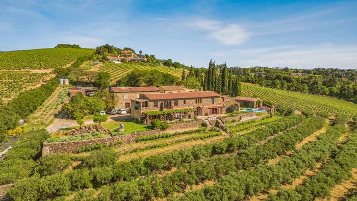 Mixed Use Property For Sale in Koelenhof: Villa, vineyard, cottages, and olive grove.