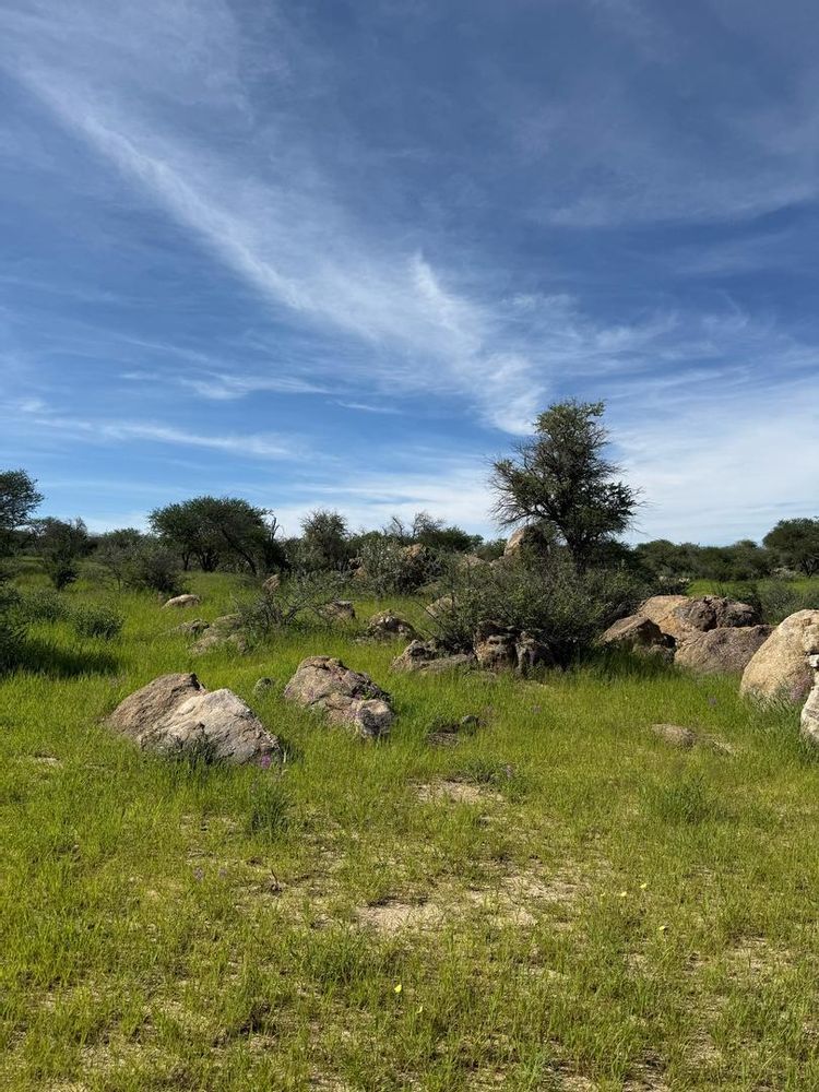 View of the field on the Farm