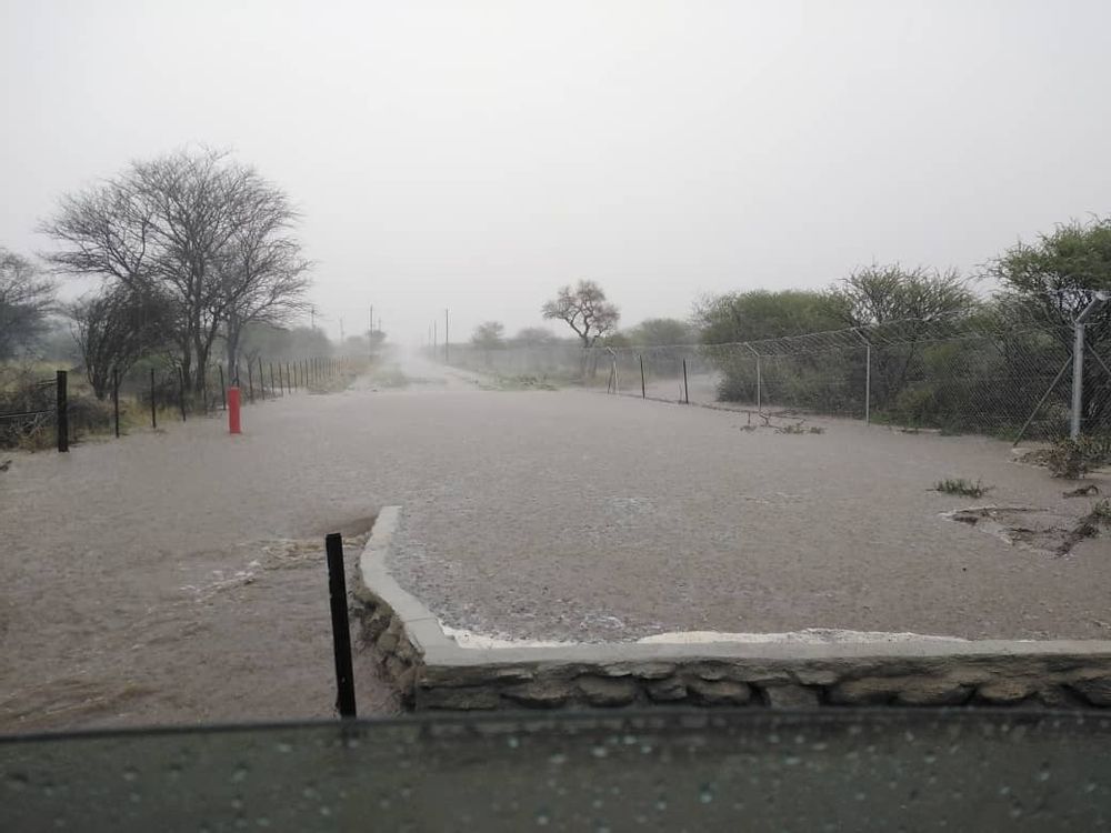 General view of plot during rainy season.