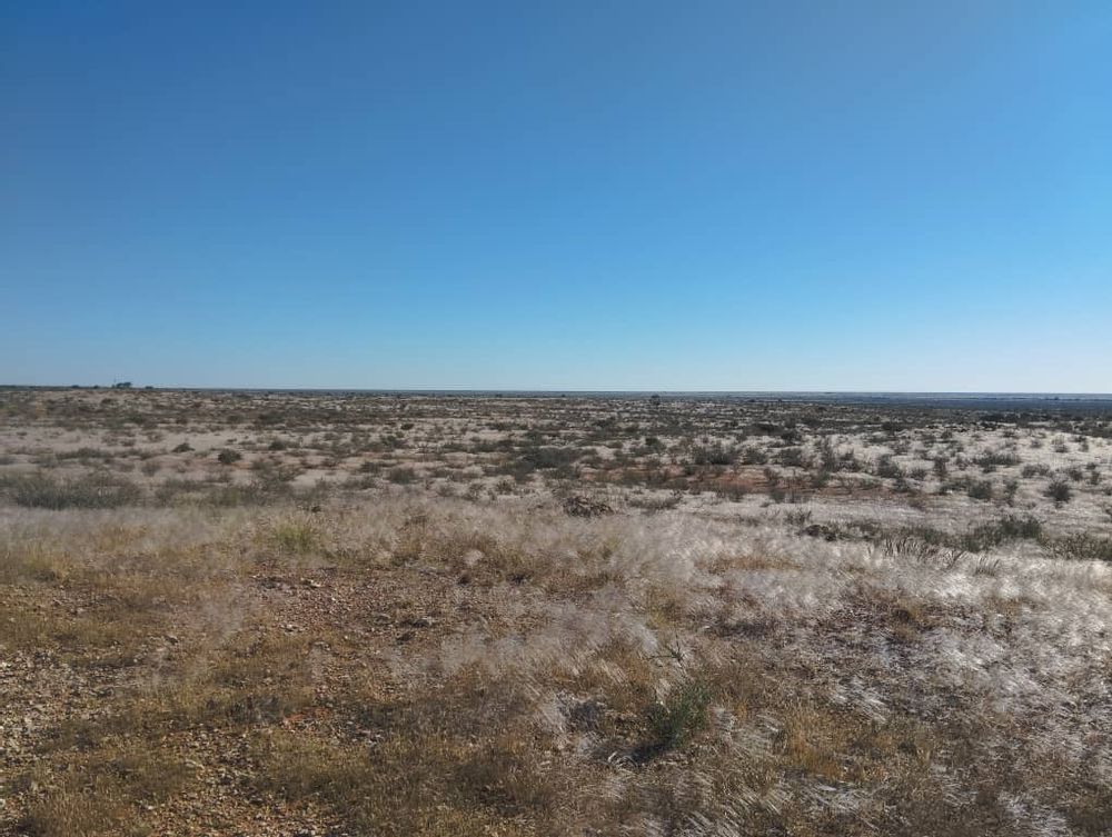 overview of farm land