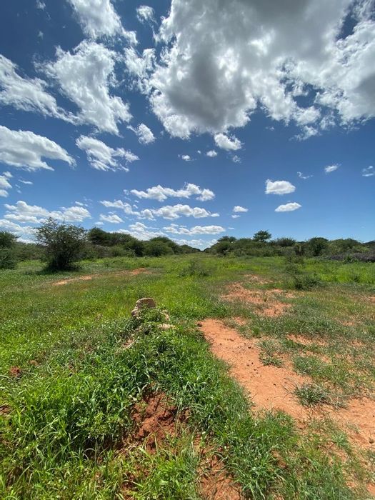 Hochfeld Central Farm For Sale: 85 ha with water, fencing, and free-roaming game.