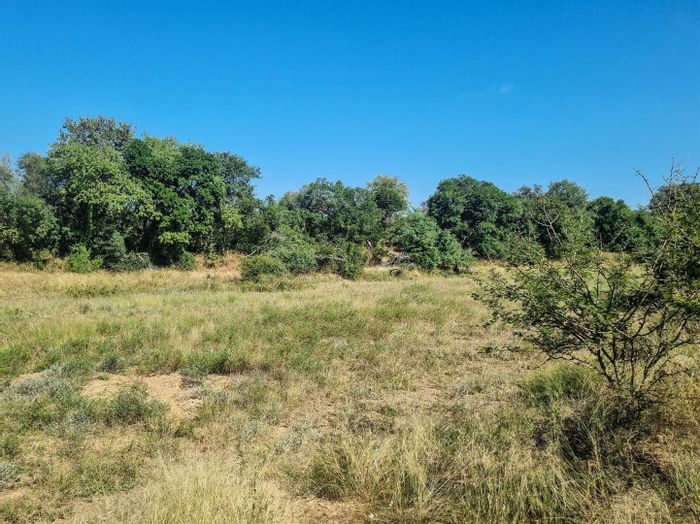 Vacant Land Residential in Moditlo Nature Reserve, For Sale with game viewing access.