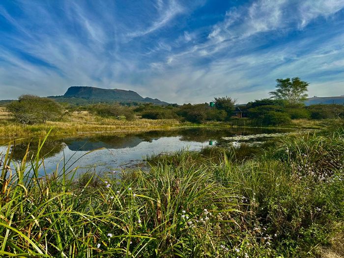 Ottos Bluff Farm For Sale: Off-grid living, game fenced, private dam, ample outbuildings.